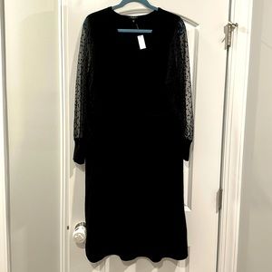 NWT Talbots sweater dress, black with see through sleeves with polka dots.
